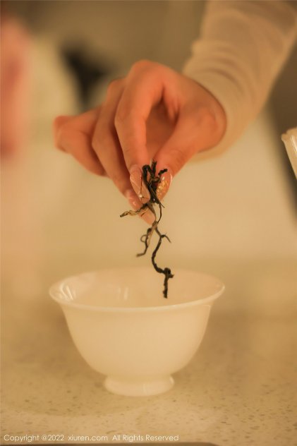 黄色网页在线看